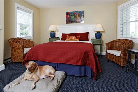 Traveling with your pet just became easier! Extended Stay properties by Choice Hotels has hotel rooms available for your next pet friendly vacation. 